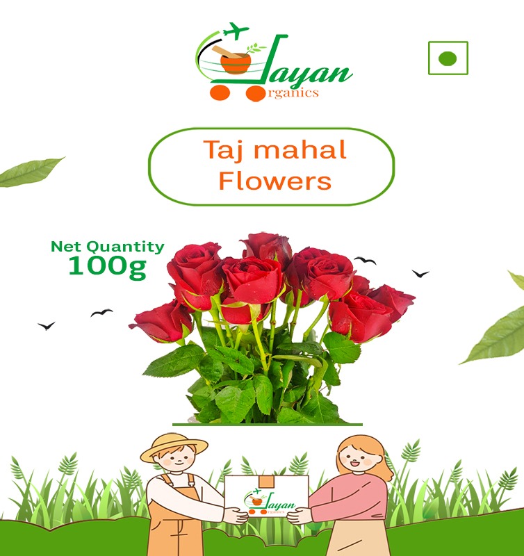 Moringa vegetable  powder